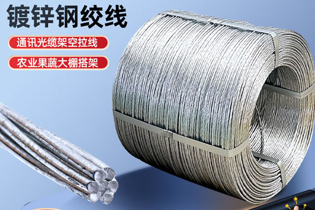 高壓輸電線路鋼芯鋁絞線生產(chǎn)廠家